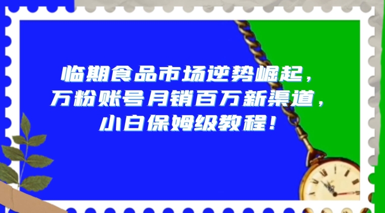 临期食品市场逆势崛起，万粉账号月销百万新渠道，小白保姆级教程【揭秘】-成可创学网