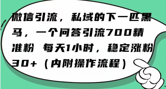 怎么搞精准创业粉？微信新赛道，每天一小时，利用Ai一个问答日引100精准粉-成可创学网