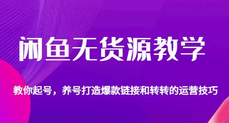 闲鱼无货源教学，教你起号，养号打造爆款链接以及转转的运营技巧-成可创学网