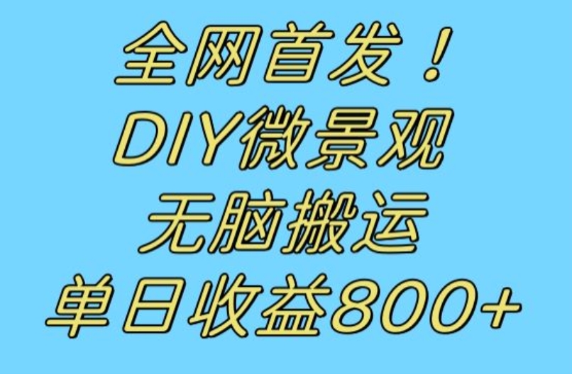 全网首发冷门赛道！DIY微景观，无脑搬运视频，日收益800+【揭秘】-成可创学网