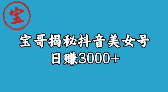 宝哥揭秘抖音美女号玩法，日赚3000+【揭秘】-成可创学网