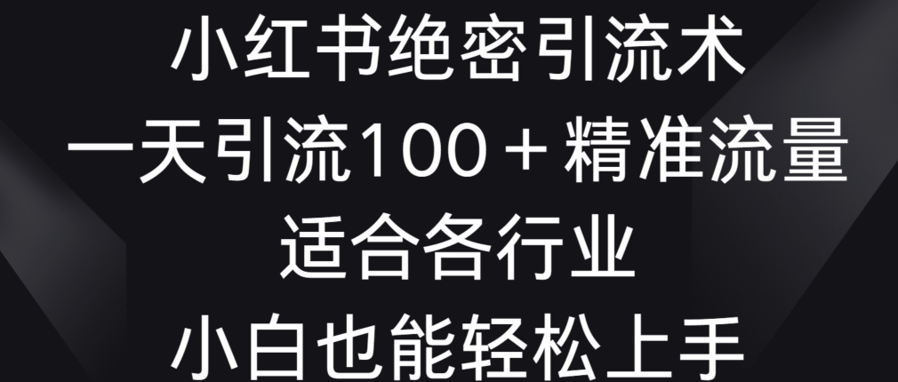 小红书绝密引流术，一天引流100+精准流量，适合各个行业，小白也能轻松上手【揭秘】-成可创学网