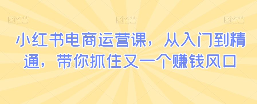 小红书电商运营课，从入门到精通，带你抓住又一个赚钱风口-成可创学网