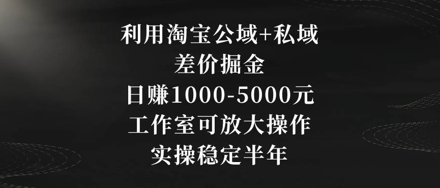 利用淘宝公域+私域差价掘金，日赚1000-5000元，工作室可放大操作，实操稳定半年【揭秘】-成可创学网