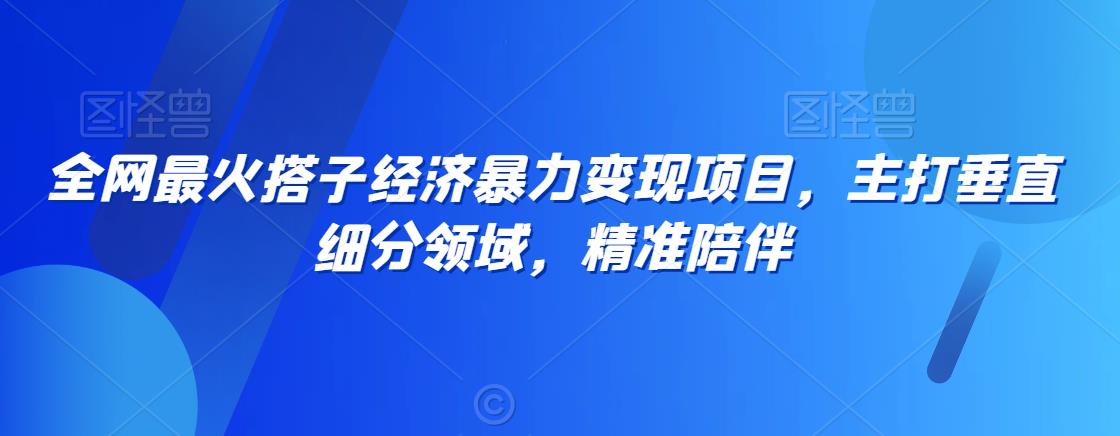 全网最火搭子经济暴力变现项目，主打垂直细分领域，精准陪伴【揭秘】-成可创学网