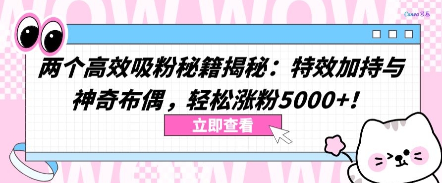 两个高效吸粉秘籍揭秘：特效加持与神奇布偶，轻松涨粉5000+【揭秘】-成可创学网