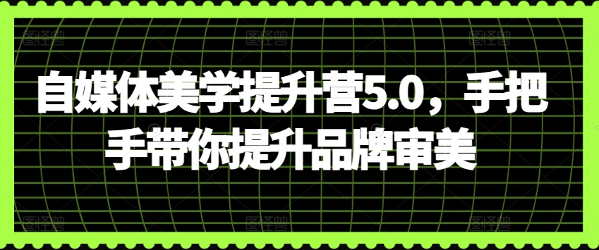 自媒体美学提升营5.0，手把手带你提升品牌审美-成可创学网