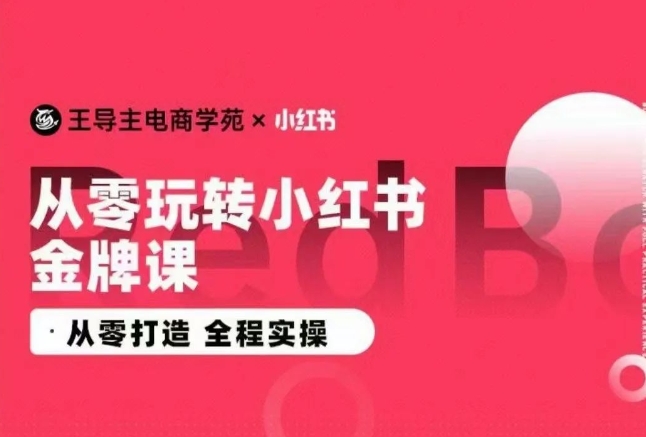 王导主·小红书电商运营实操课，​从零打造  全程实操-成可创学网