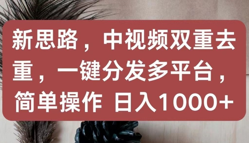 新思路，中视频双重去重，一键分发多平台，简单操作，日入1000+【揭秘】-成可创学网