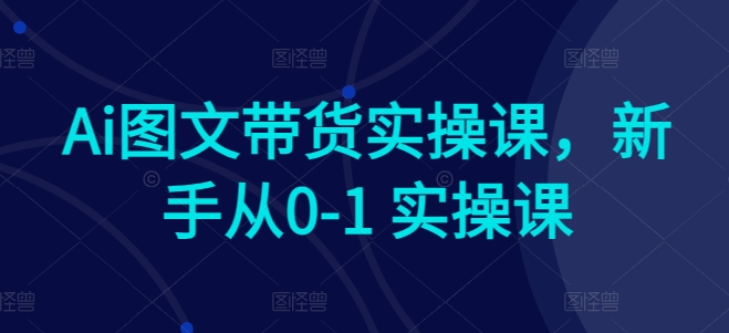 Ai图文带货实操课，新手从0-1 实操课-成可创学网