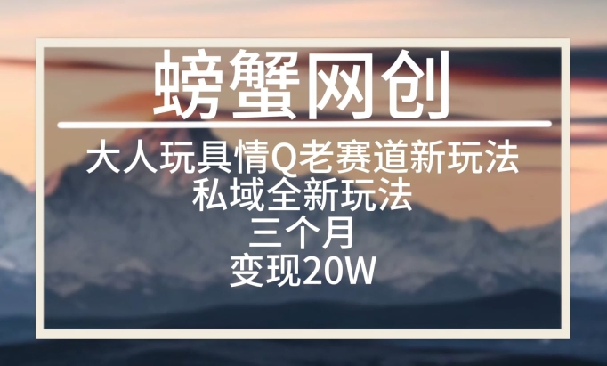 大人玩具情Q用品赛道私域全新玩法，三个月变现20W，老项目新思路【揭秘】-成可创学网