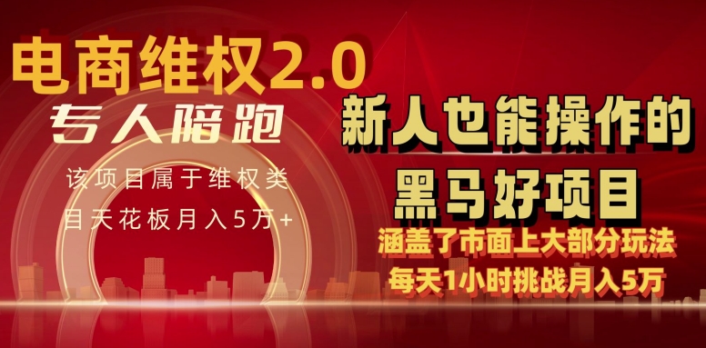 电商维权 4.0 如何做到月入 5 万+每天 1 小时新人也能快速上手【仅揭秘】-成可创学网