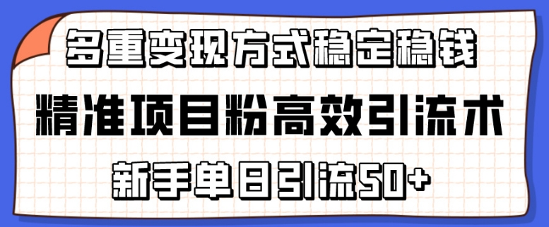 精准项目粉高效引流术，新手单日引流50+，多重变现方式稳定赚钱【揭秘】-成可创学网