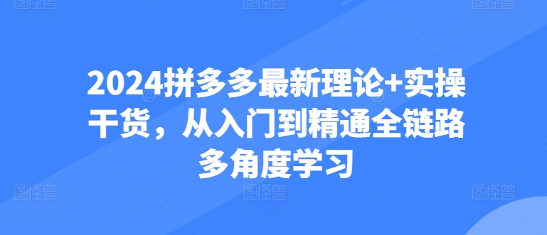 2024拼多多最新理论+实操干货，从入门到精通全链路多角度学习-成可创学网