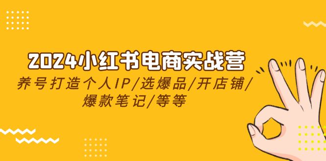 2024年最新小红书电商实战训练营，传授养号打造IP秘诀+选爆品技巧+开店铺流程+爆款笔记的打造方法等（24节）-成可创学网