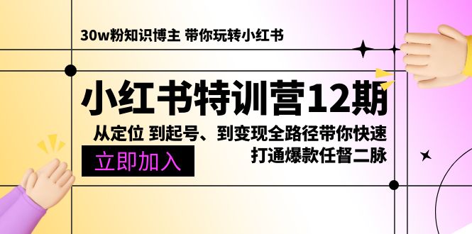 小红书系统课12期：从定位到起号、到变现全流程让你成为小红书高手！-成可创学网