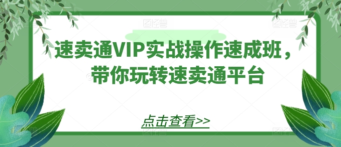 速卖通VIP实战操作速成班，带你玩转速卖通平台-成可创学网