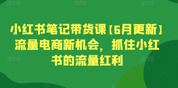 小红书笔记带货课【6月更新】流量电商新机会，抓住小红书的流量红利-成可创学网