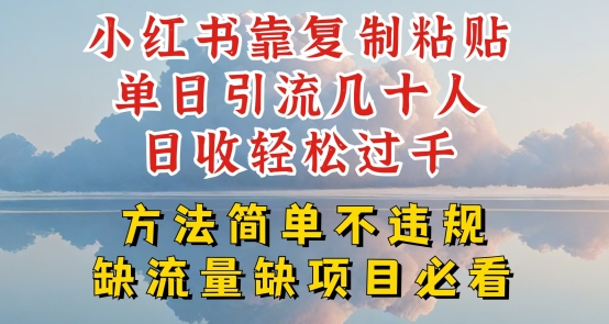 小红书靠复制粘贴单日引流几十人目收轻松过千，方法简单不违规【揭秘】-成可创学网