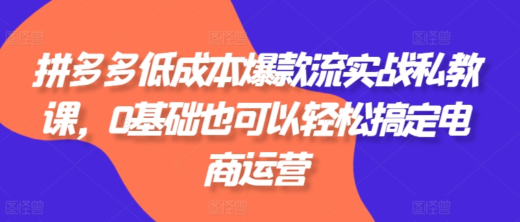 拼多多低成本爆款流实战私教课，0基础也可以轻松搞定电商运营-成可创学网