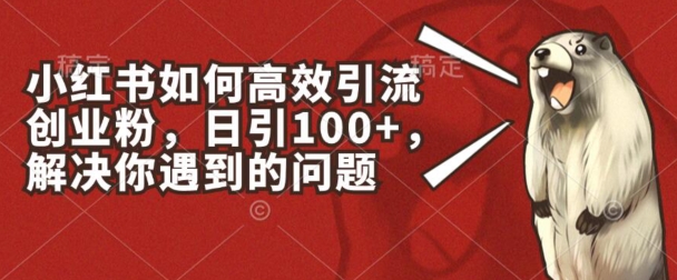 小红书如何高效引流创业粉，日引100+，解决你遇到的问题【揭秘】-成可创学网