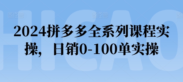 2024拼多多全系列课程实操，日销0-100单实操【必看】-成可创学网