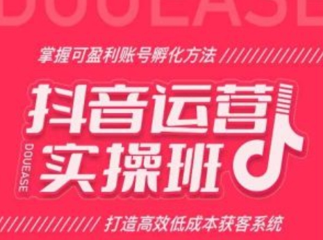 抖音运营实操班，掌握可盈利账号孵化方法，打造高效低成本获客系统-成可创学网