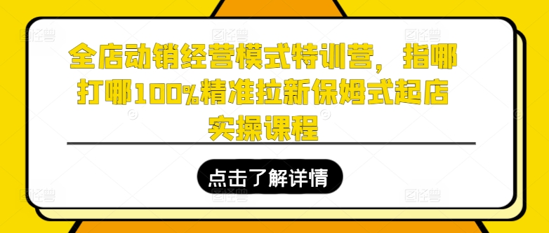 全店动销经营模式特训营，指哪打哪100%精准拉新保姆式起店实操课程-成可创学网