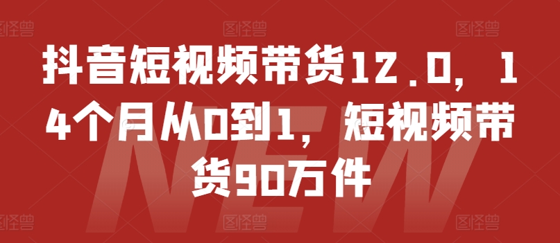 抖音短视频带货12.0，14个月从0到1，短视频带货90万件-成可创学网