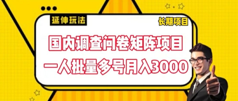 国内调查问卷矩阵项目，一人批量多号月入3000【揭秘】-成可创学网