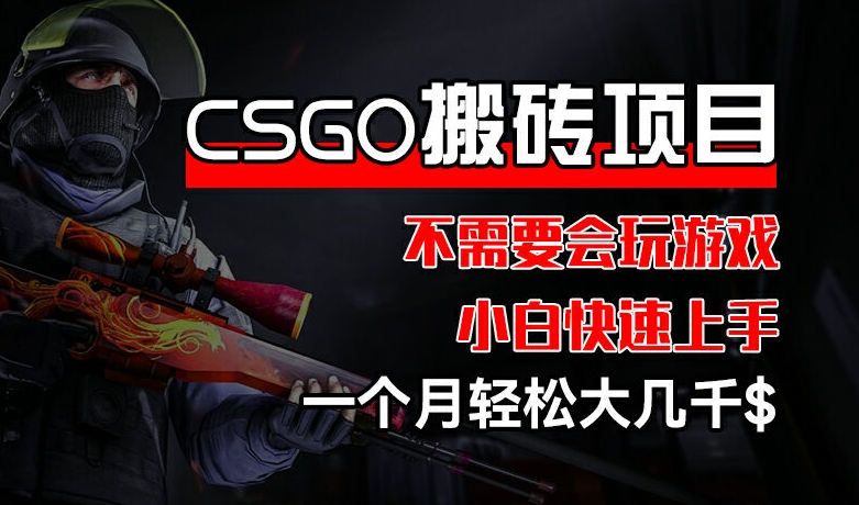 CSGO 装备搬砖项目，操作简单，不需要会玩游戏，小白也能快速上手，一个月轻松大几千【揭秘】-成可创学网