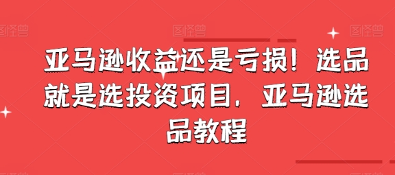 亚马逊收益还是亏损！选品就是选投资项目，亚马逊选品教程-成可创学网