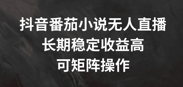 抖音番茄小说无人直播，长期稳定收益高，可矩阵操作【揭秘】-成可创学网