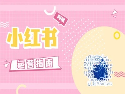 小红书运营指南，没有套路，全是经验-成可创学网