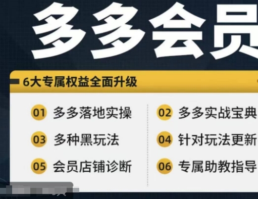 拼多多会员，拼多多实战宝典+实战落地实操，从新手到高阶内容全面覆盖-成可创学网