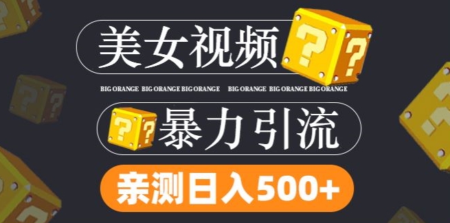 搬运tk美女视频全网分发，日引s粉300+，轻松变现，不限流量不封号【揭秘】-成可创学网