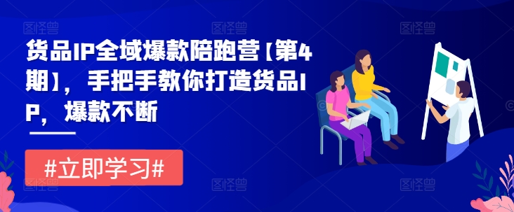 货品IP全域爆款陪跑营【第4期】，手把手教你打造货品IP，爆款不断-成可创学网