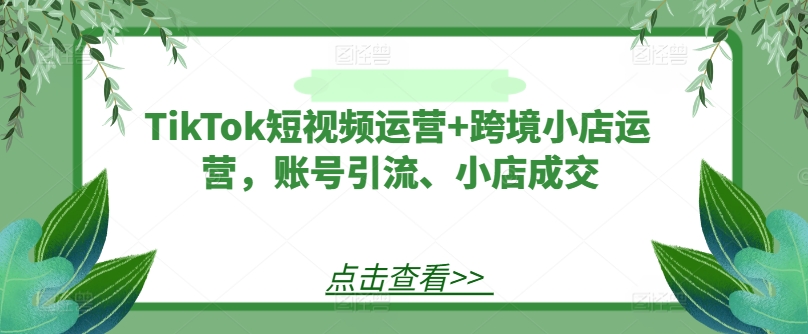 TikTok短视频运营+跨境小店运营，账号引流、小店成交-成可创学网