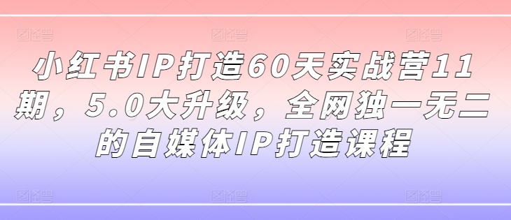 小红书IP打造60天实战营11期，5.0大升级，全网独一无二的自媒体IP打造课程-成可创学网