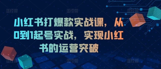 小红书打爆款实战课，从0到1起号实战，实现小红书的运营突破-成可创学网