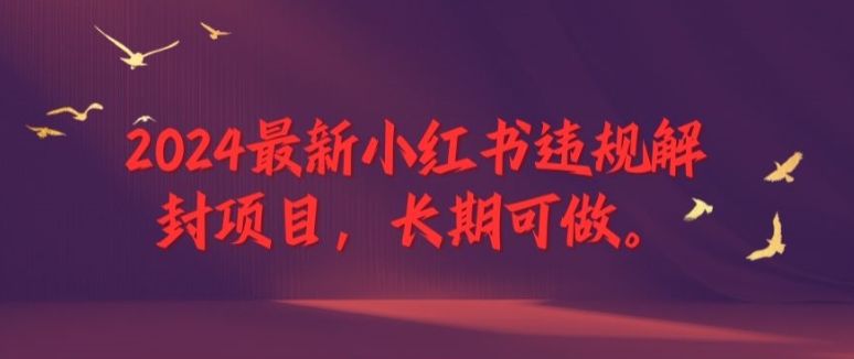 2024最新小红书违规解封项目，长期可做，一个可以做到退休的项目【揭秘】-成可创学网