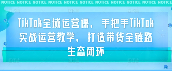 TikTok全域运营课，手把手TikTok实战运营教学，打造带货全链路生态闭环-成可创学网