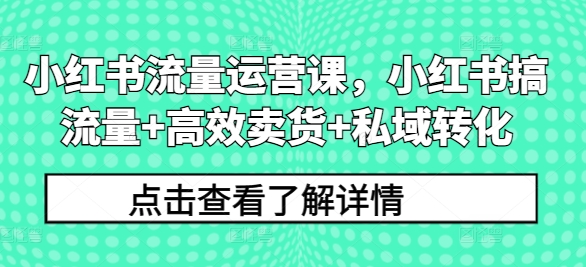 小红书流量运营课，小红书搞流量+高效卖货+私域转化-成可创学网