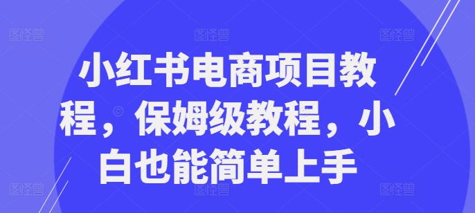 小红书电商项目教程，保姆级教程，小白也能简单上手-成可创学网