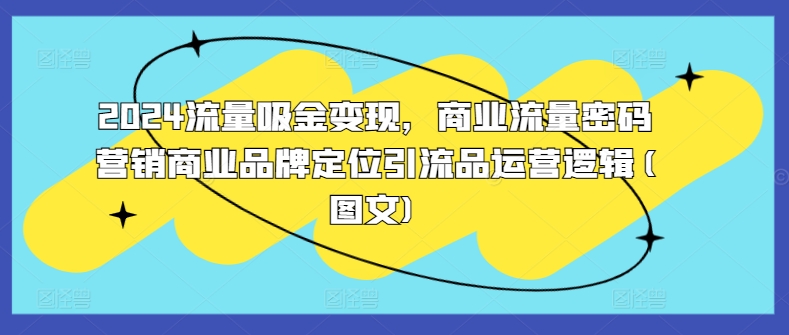 2024流量吸金变现，商业流量密码营销商业品牌定位引流品运营逻辑(图文)-成可创学网