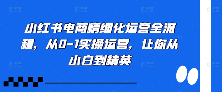 小红书电商精细化运营全流程，从0-1实操运营，让你从小白到精英-成可创学网