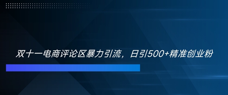 双十一电商评论区暴力引流，日引500+精准创业粉【揭秘】-成可创学网