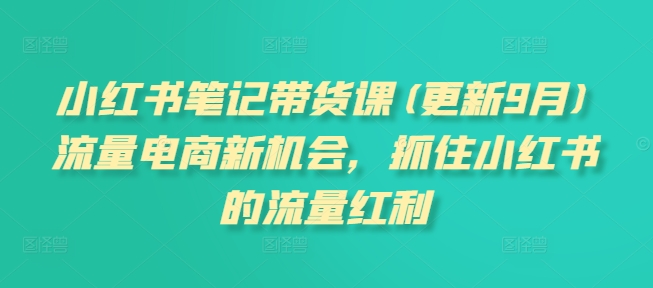 小红书笔记带货课(更新11月)流量电商新机会，抓住小红书的流量红利-成可创学网