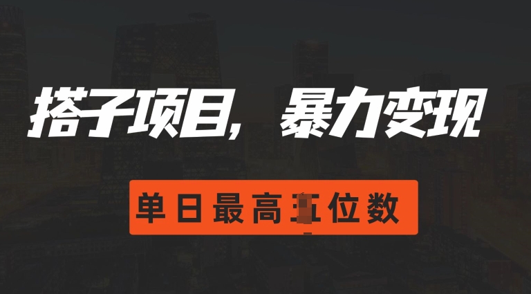 2024搭子玩法，0门槛，暴力变现，单日最高破四位数【揭秘】-成可创学网