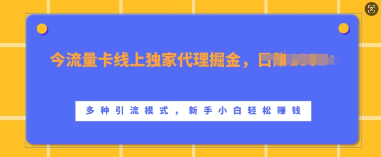 流量卡线上独家代理掘金，日入1k+ ，多种引流模式，新手小白轻松上手【揭秘】-成可创学网